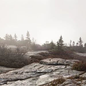 Foggy landscape panorama