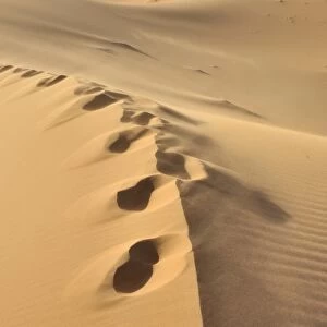 Footprints on sand dune, desert of Erg Chebbi, Morocco, Africa, PublicGround