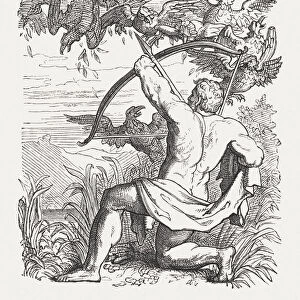 Hercules killed the Stymphalian birds, Greek mythology, published in 1880