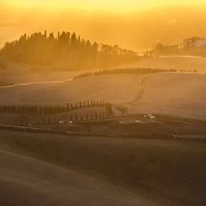 Hilly landscape at sunset, Villamagna, Tuscany, Italy, Europe