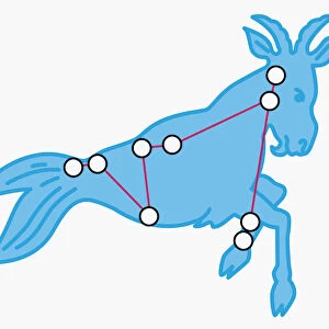 Illustration of Capricornus constellation represented as goat