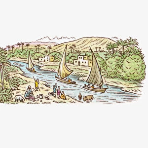 Illustration of felucca boats on Egypts River Nile