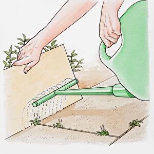Illustration of hands holding cardboard sheet to protect plants while spraying a weedkiller, close-up