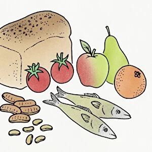 Illustration of ingredients for a balanced diet