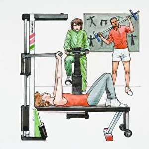Illustration of people exercising in gym using strength training bench, exercise bike, and weightlifting