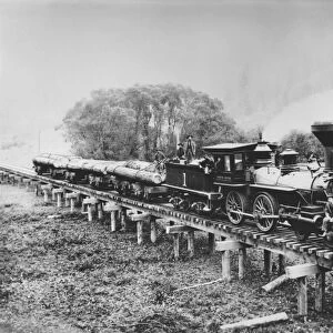 Logging Train
