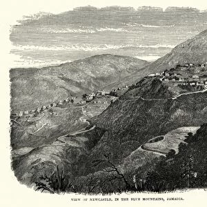 Newcastle, in the Blue Mountains, Jamaica, 19th Century