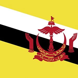 Official national flag of Brunei Darussalam