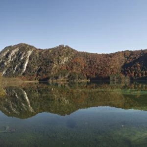 Panorama, autumn at Almsee lake, with a reflection in the lake, Gruenau im Almtal, Upper Austria, Austria