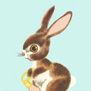 Rabbit Holding a Foot Keychain