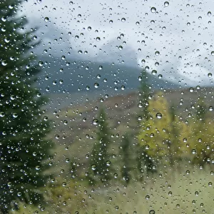 Raindrops On A Car Window