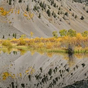 Reflections in the Trail Creek, Trail Creek Valley, Sun Valley, Idaho, USA