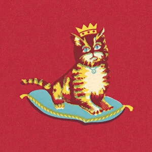 Royal Cat Sitting on a Pillow