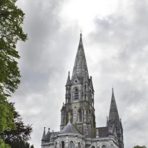 Saint Fin Barres Cathedral in Cork, Ireland