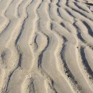 Sand grooves caused by the River Elbe, Wittenbergen, Rissen, Hamburg, Hamburg, Germany