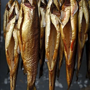 Smoked trout hanging from hooks in a smokehouse, Fuschl, Austria, Europe