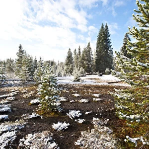 Snowy landscape with West Thumb Geyser Basin in winter, Yellowstone National Park, Wyoming, USA