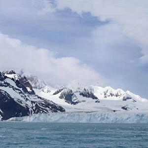 South Georgia glacier