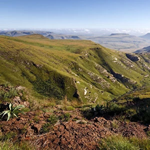 A view over the Drakensberg mountain range from an elevated point. Golden Gate National Park, Drakensberg mountains, Kwazulu Natal Province, South Africa