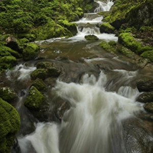Waterfall in Twannbachschlucht gorge in the Swiss Jura Mountains, Biel, Canton of Solothurn, Switzerland