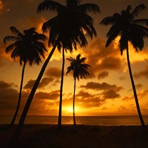 Darkwood Beach at sunset, in Antigua, West Indies