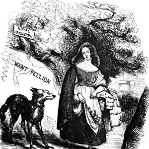 The Royal Red Riding Hood and the Ministerial Wolf from Punchs Pencillings No. IX ?TopFoto