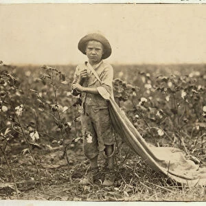 6-year old Warren Frakes with about 20 pounds of cotton in his bag at Comanche County