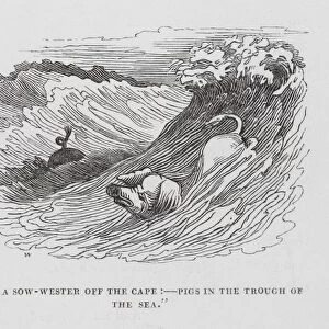 "A sow-wester off the cape, pigs in the trough of the sea"(engraving)