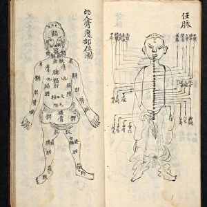 Acupuncture points along the central line of the body, from Jing Guan Qi Zhi