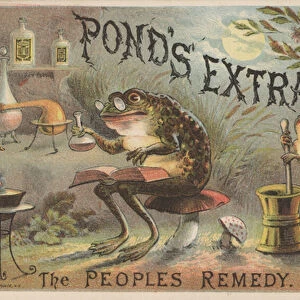 Advertisement for Ponds Extract (colour litho)