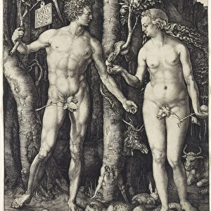 Adam and Eve, 1504 (engraving on laid paper)