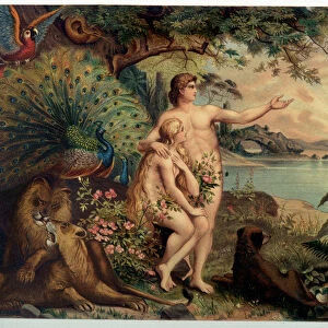 Adam and Eve au Paradise earthly (Eden) - in "Aurea Bibbia classica