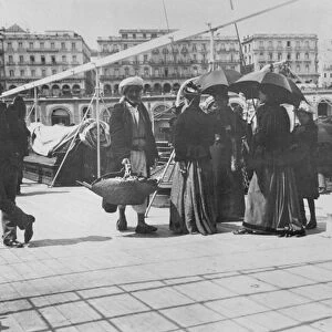 Algiers, late 19th century (b / w photo)