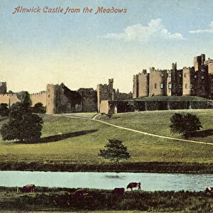 Alnwick Castle, from the Meadows (colour photo)