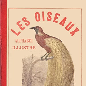 ALPHABET ILLUSTRATES BIRDS (cover), 1912 (illustration)