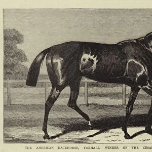 The American Racehorse, Foxhall, Winner of the Cesarewitch and the Cambridgeshire (engraving)