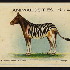 Animalosities No 4: Horse, Zebra, Cow, Lion (colour litho)