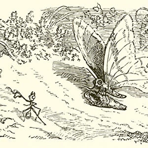 The Ant and the Chrysalis (engraving)
