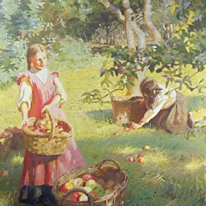 Apples, 1912