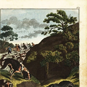 Armed men hunting badgers, England, 18th century. 1792 (engraving)