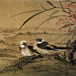 Art China: Birds. Silk painting by Li youen kien from the 16th century. Paris, BN