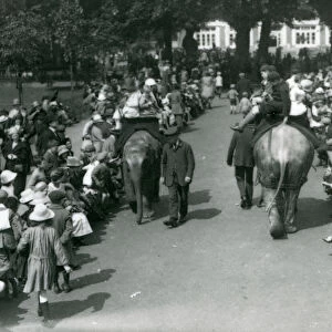 Asian elephant rides with crowds of onlookers at London Zoo, 1922 (b / w photo)