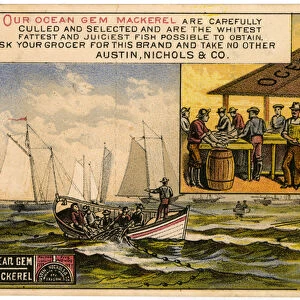 Austin, Nichols & Co. Ocean Gem Mackerel, trade card recto. (colour litho [trade card])