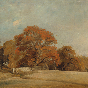 An Autumnal Landscape at East Bergholt, c. 1805-08 (oil on canvas)