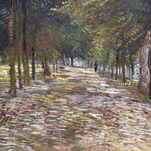 The Avenue at the Park of Voyer-d Argenson at Asnieres, 1887 (oil on canvas)