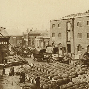 Barrels of molasses at West India Docks (b / w photo)