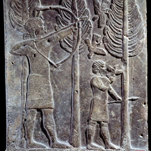 Bird hunting scene. Low relief in albaster from the Palace of Sargon II or Sharroukin