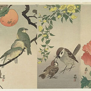 Birds and Plants, 1900-16 (colour woodcut)