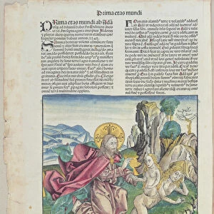 The Birth of Eve, from Liber Chronicarum by Hartmann Schedel (1440-1514) 1493