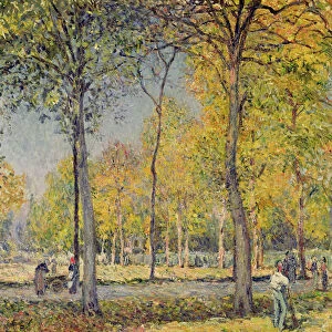 The Bois de Boulogne (oil on canvas)